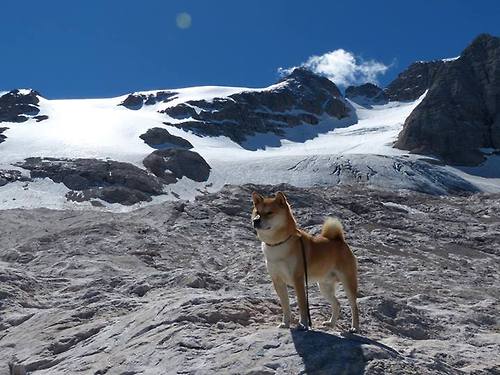 开云体育登录-从高加索到南非，足球如何锻造奇迹与颠覆强弱？