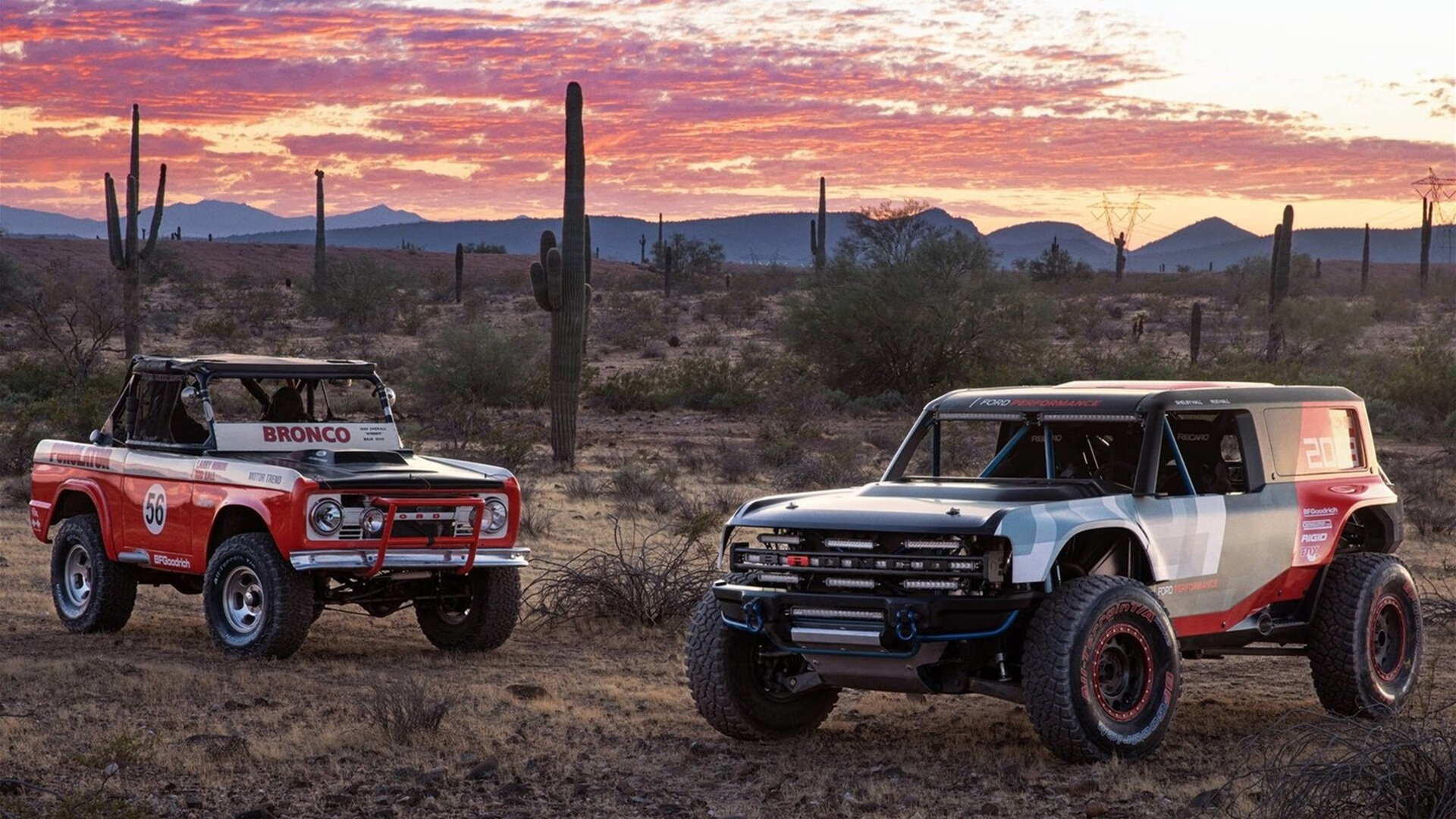 王者加冕与史诗终章，塔图姆如何把总决赛之夜写成个人传奇