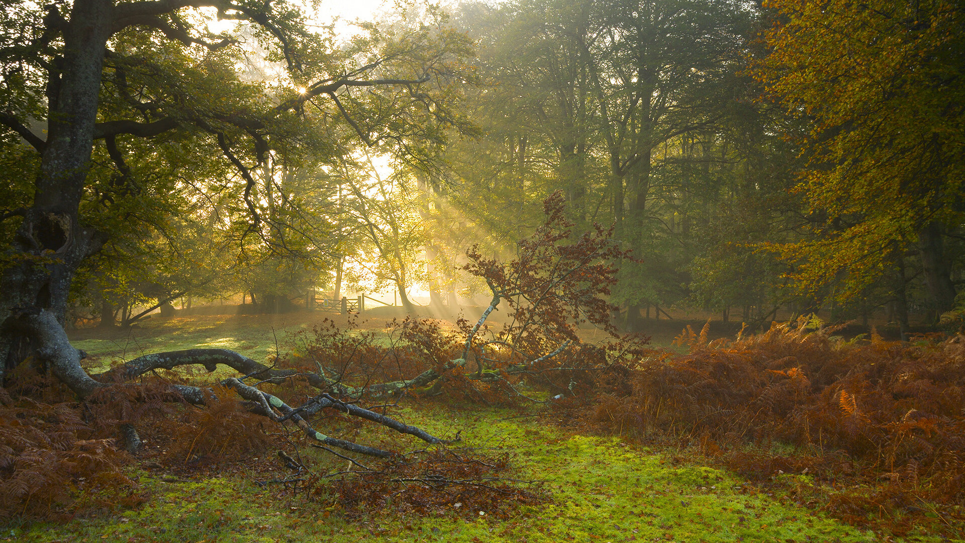 五万公里的战术奇袭，几内亚用混凝土防线锁死皇马，退役的皮克为何成了关键先生？