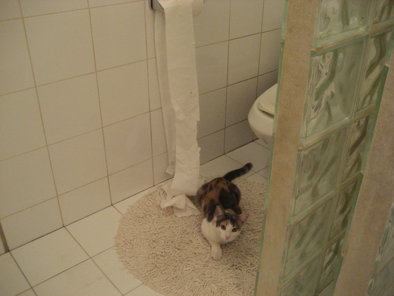 意外的主角，金玟哉的进攻狂想曲