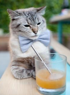 篮球奇观!吉林队单节打出47-10,创造CBA唯一击败NBA球队的纪录