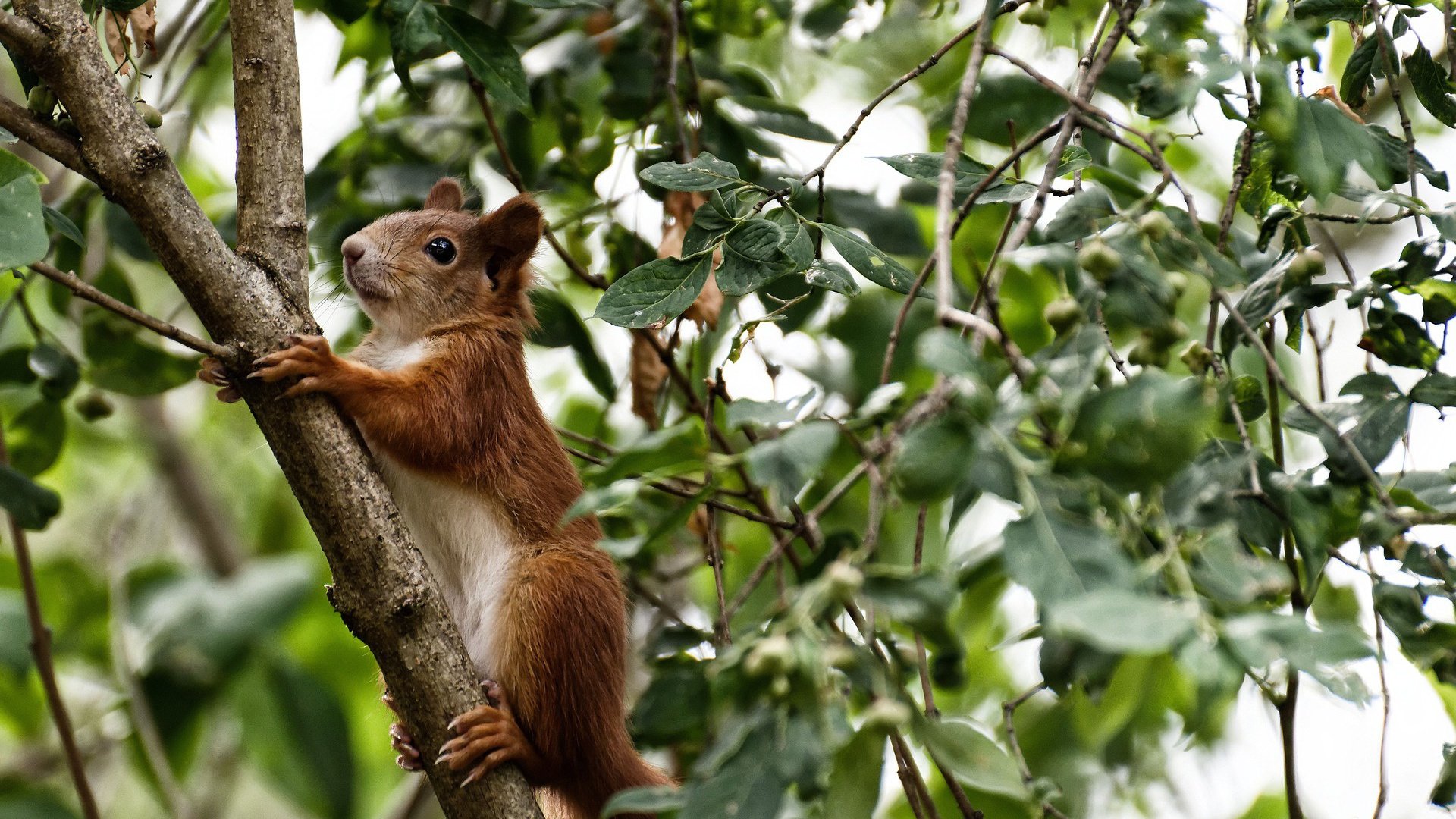 绝杀！深圳爆冷掀翻76人，但哈登30+15+10统治攻防令所有人脱帽致敬